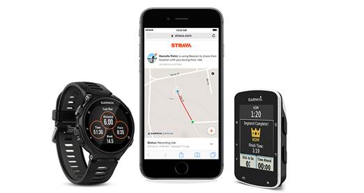 Forerunner hot sale 30 strava